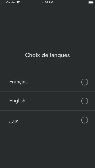 Capturas de pantalla de Tunisie Numerique