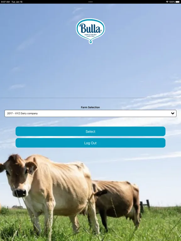 ภาพหน้าจอของ Bulla Dairy Farmer iPad 
