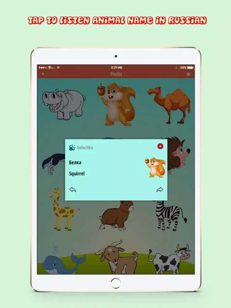 Learn Animal Names in Russian iPad  Ekran Görüntüleri