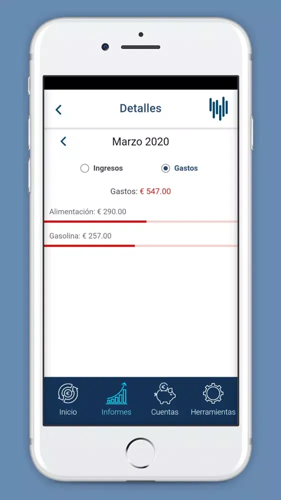 Capturas de pantalla de Control de Gastos e Ingresos
