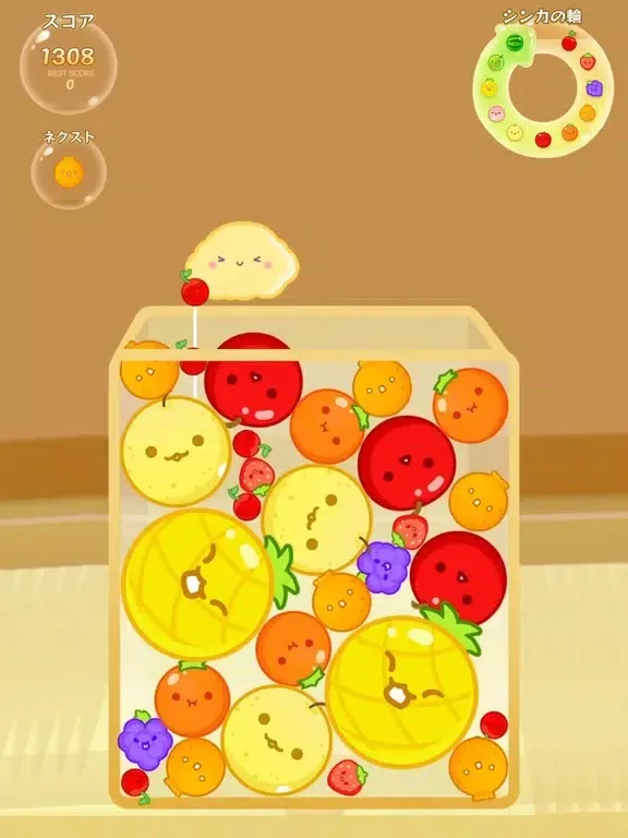 Watermelon Game Sorting Puzzle iPad  سکرین شاٹس