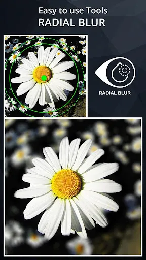 Screenshot di DSLR Camera Blur Effects