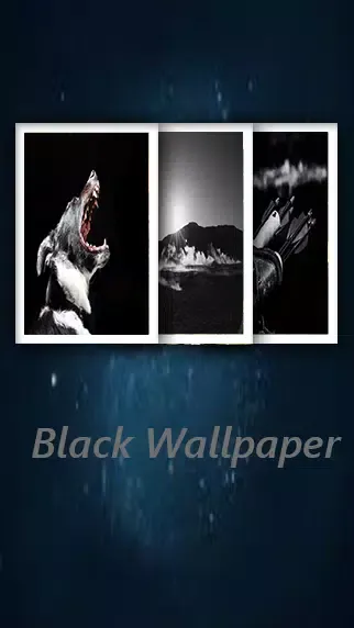 صور Black Wallpaper