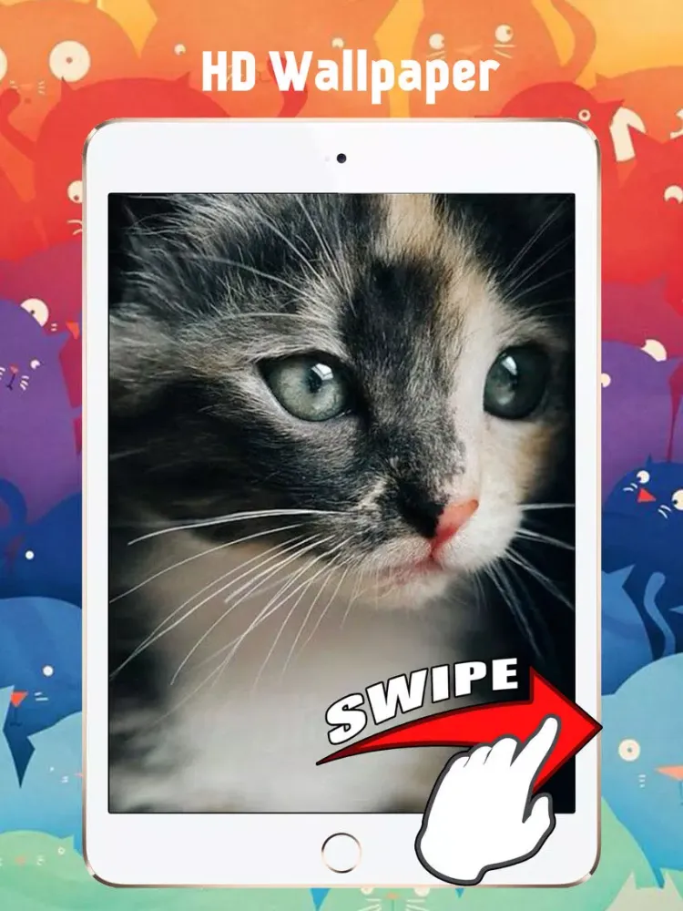 Screenshot di Cute Kitten Cat Wallpapers & Backgrounds iPad 