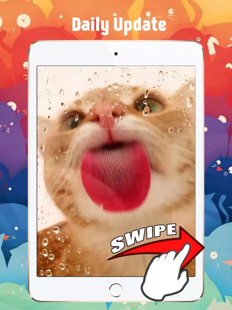 Screenshot di Cute Kitten Cat Wallpapers & Backgrounds iPad 