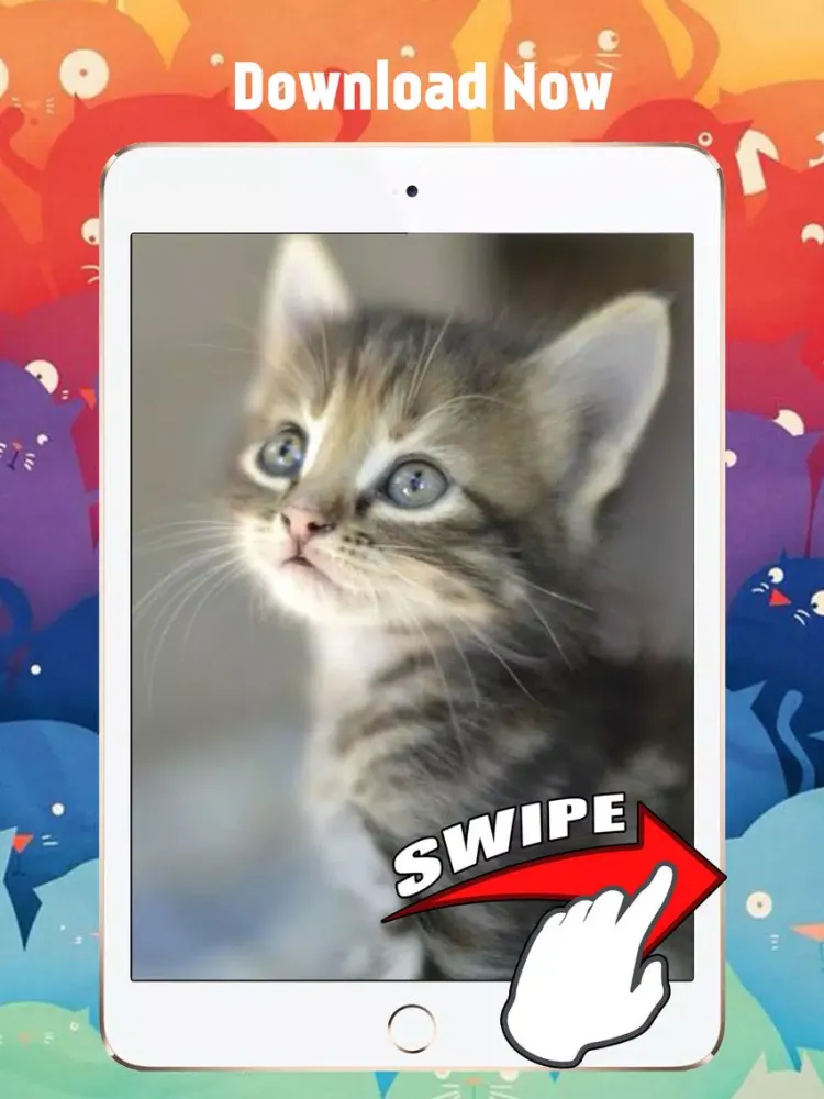 Screenshot di Cute Kitten Cat Wallpapers & Backgrounds iPad 