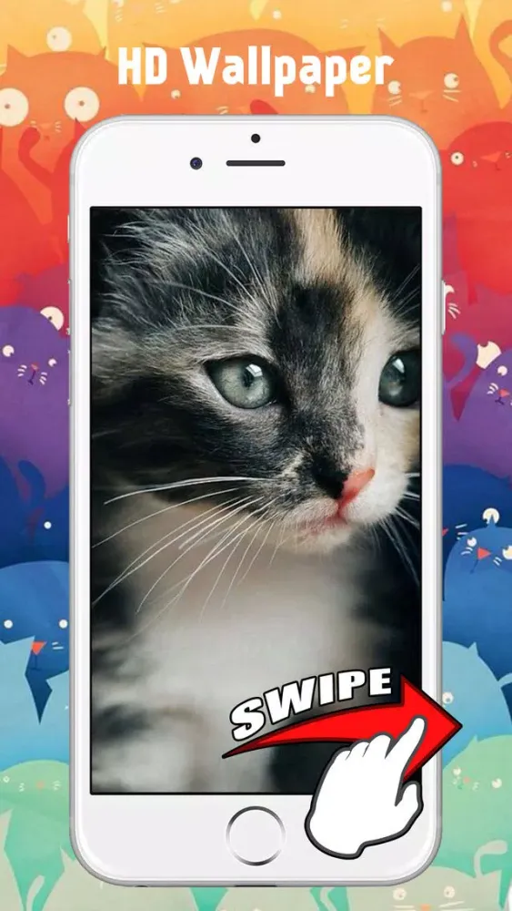 Screenshot di Cute Kitten Cat Wallpapers & Backgrounds