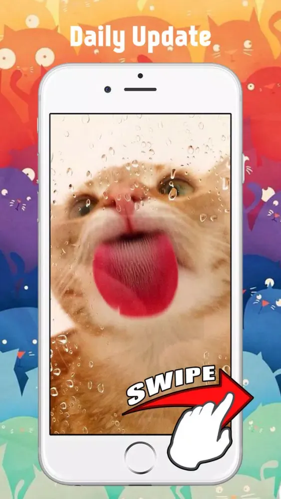 Screenshot di Cute Kitten Cat Wallpapers & Backgrounds