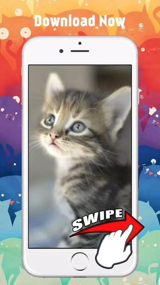 Screenshot di Cute Kitten Cat Wallpapers & Backgrounds