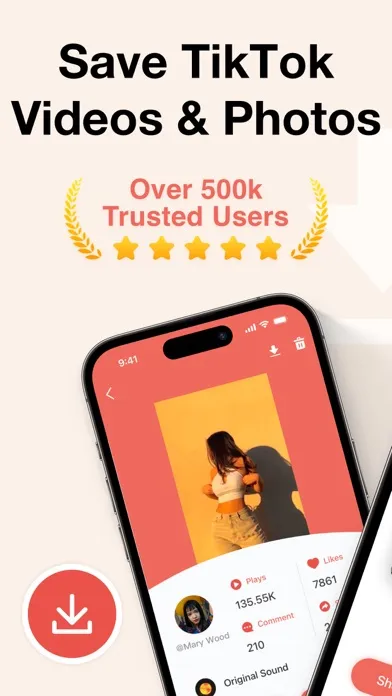 TikSaver : Save & Repost Video Screenshots