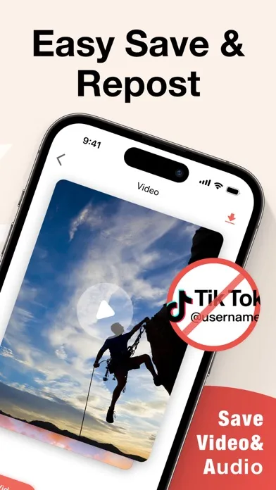 TikSaver : Save & Repost Video Screenshots