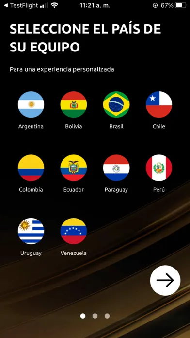Screenshot di CONMEBOL Libertadores