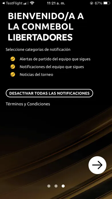 Screenshot di CONMEBOL Libertadores