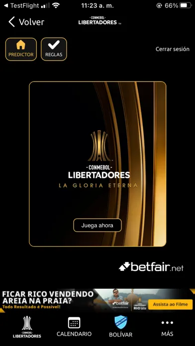 Screenshot di CONMEBOL Libertadores