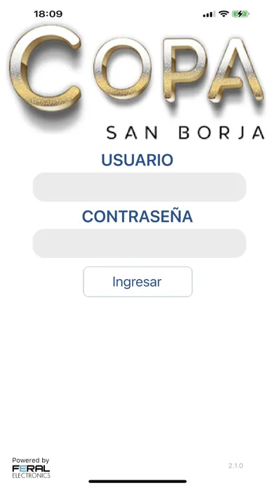 Copa San Borja स्क्रीनशॉट