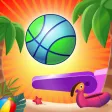 Flipper Dunk Flipper Dunk