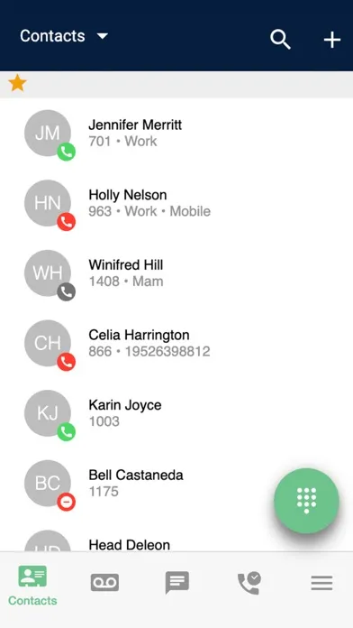 Tangkapan skrin CoPilot VoIP