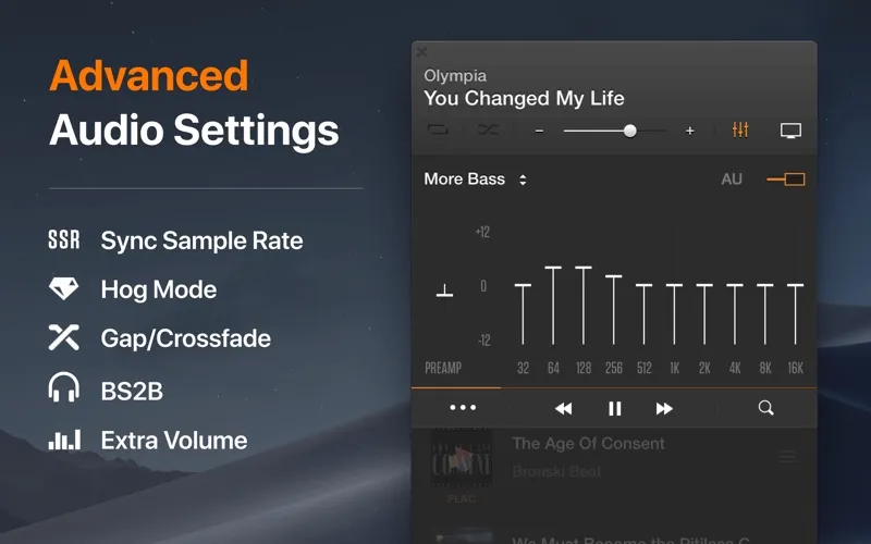تصاویر VOX: MP3 & FLAC Music Player