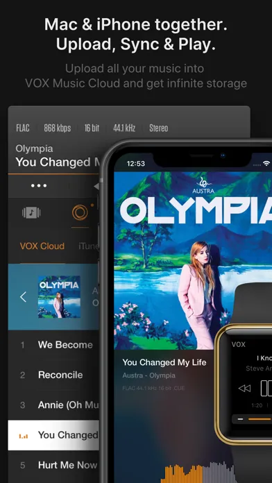 VOX – MP3 & FLAC Music Player Screenshots