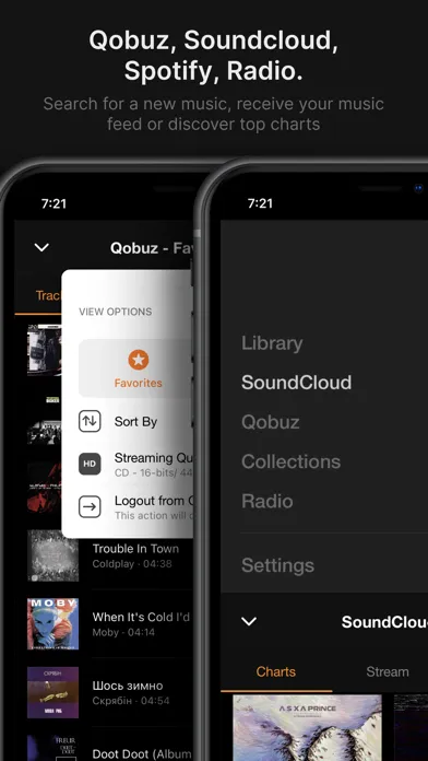VOX – MP3 & FLAC Music Player Screenshots