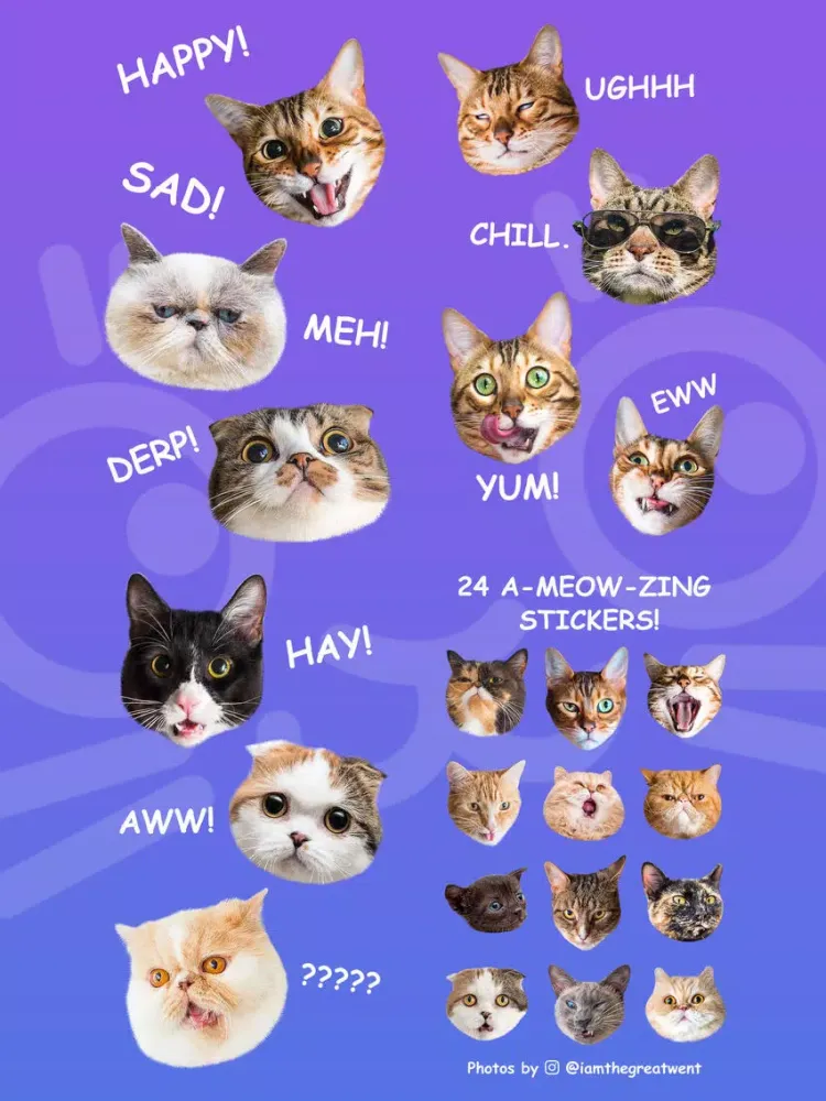 Cat Stamp! Cute Stickers of Cats iPad  Ekran Görüntüleri