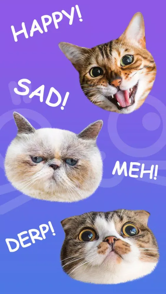 Cat Stamp! Cute Stickers of Cats Ekran Görüntüleri