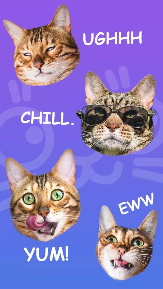 Cat Stamp! Cute Stickers of Cats Ekran Görüntüleri