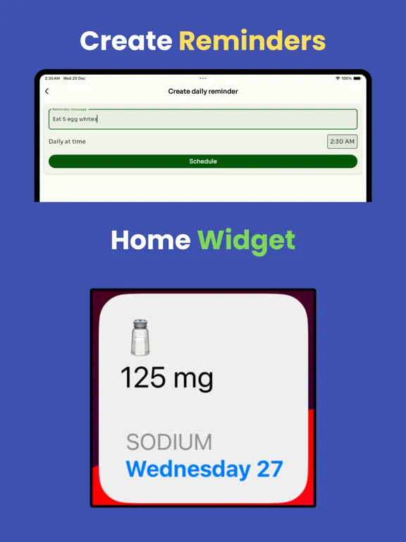 Sodium tracker 2025 iPad  스크린샷