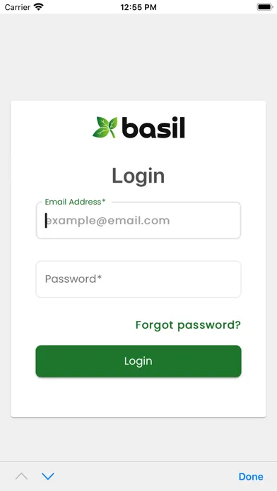 تصاویر My Basil