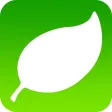 Green Copy - Generate PDF with amazing effects Green Copy - Generate PDF with amazing effects