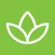 Quantum Health Wellbeing