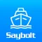 Saybolt Cargo Check