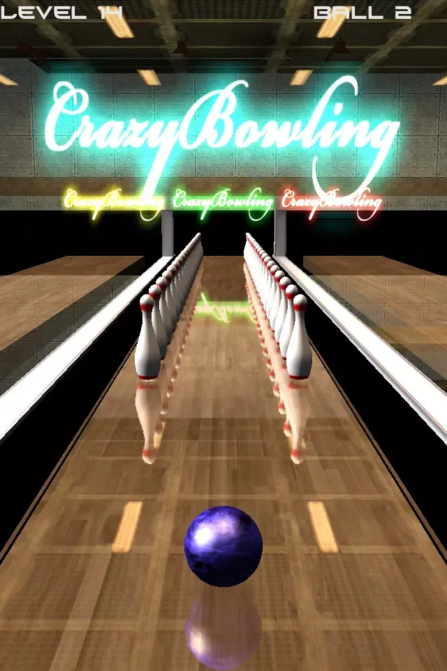 Crazy Bowling Screenshots