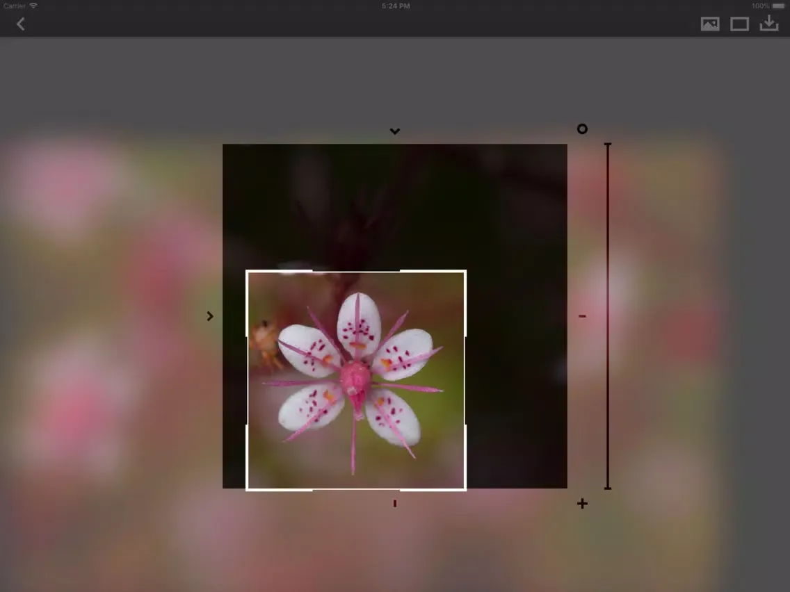 Crop-a-Lot iPad 應用截圖