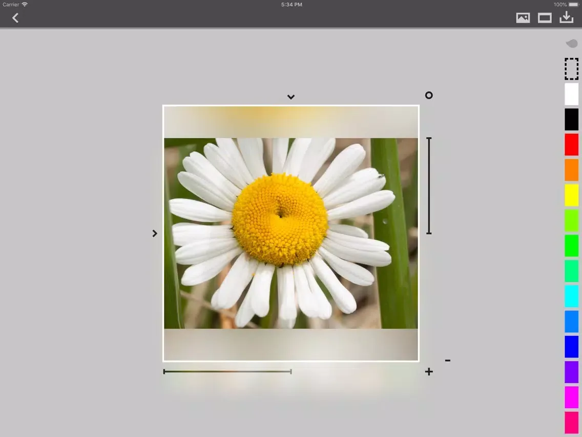 Crop-a-Lot iPad 應用截圖