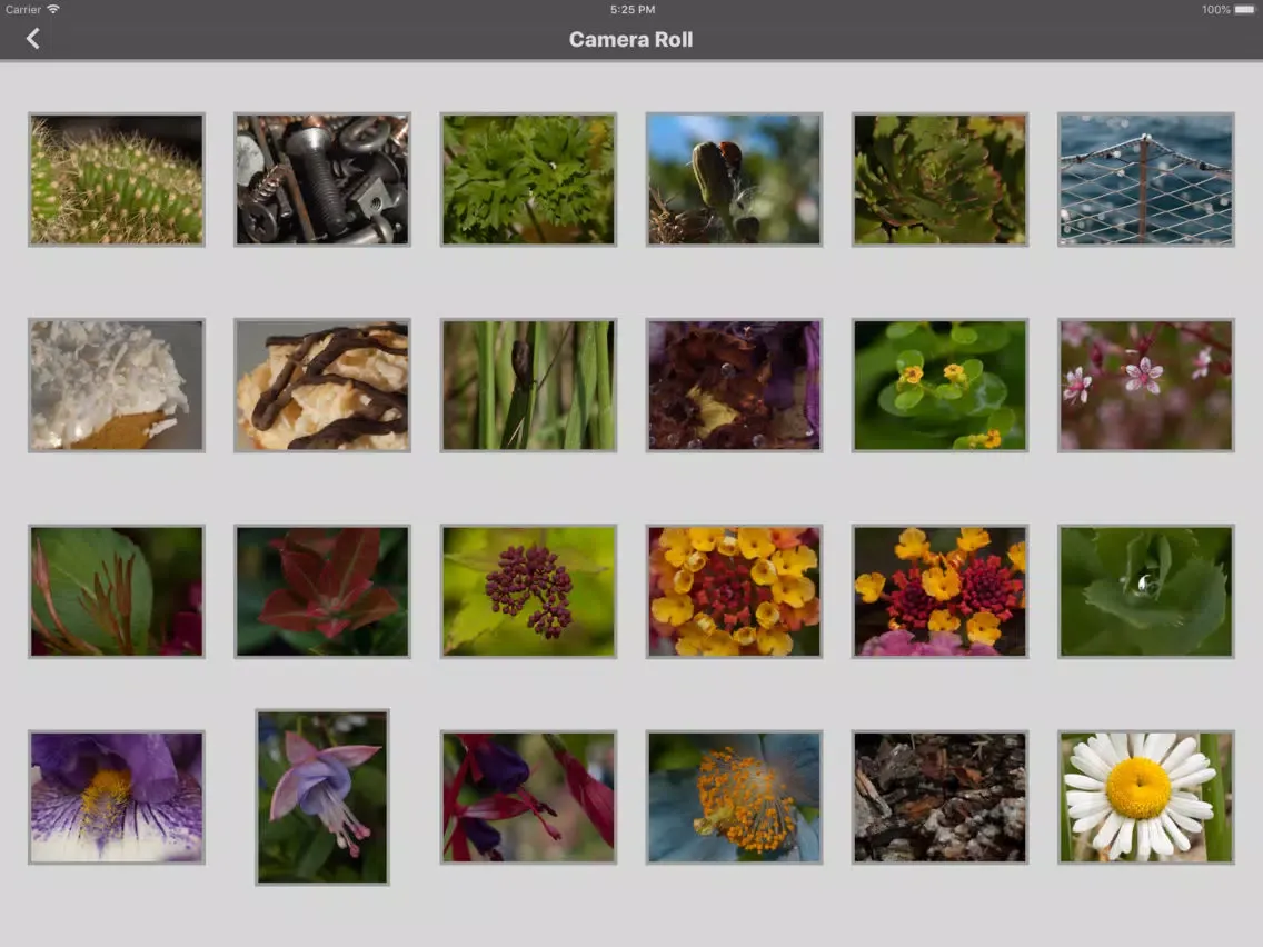 Crop-a-Lot iPad 應用截圖