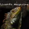 Lizards Magazine