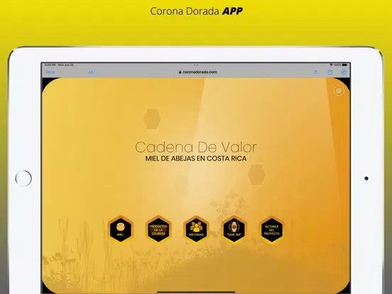 Corona Dorada APP iPad  스크린샷