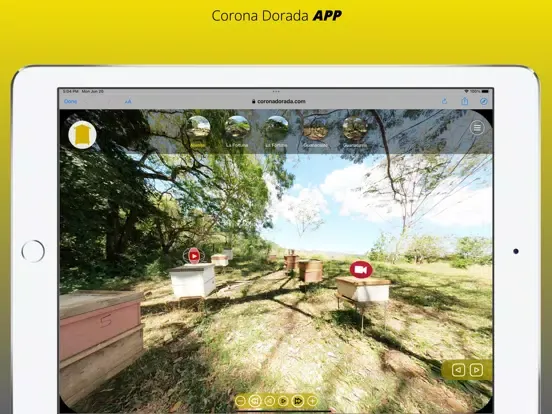 Corona Dorada APP iPad  스크린샷