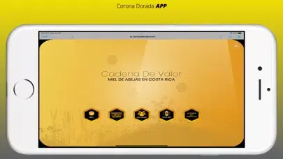 Corona Dorada APP 스크린샷