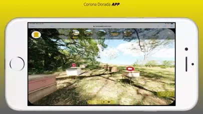 Corona Dorada APP 스크린샷