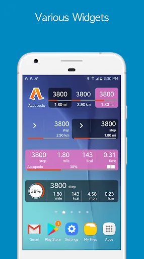 Accupedo Pedometer應用截圖