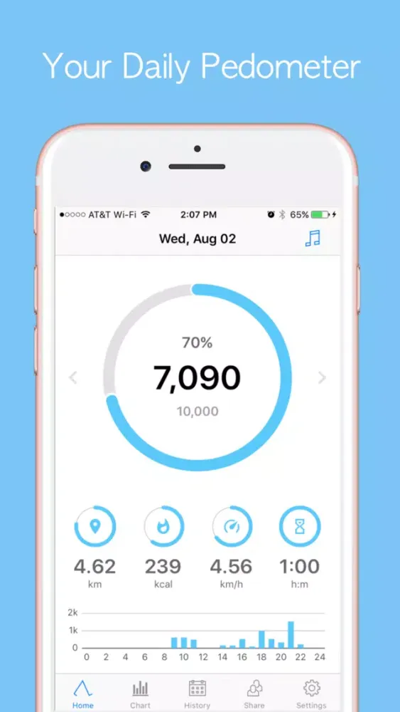 Accupedo-Pro Pedometer Screenshots