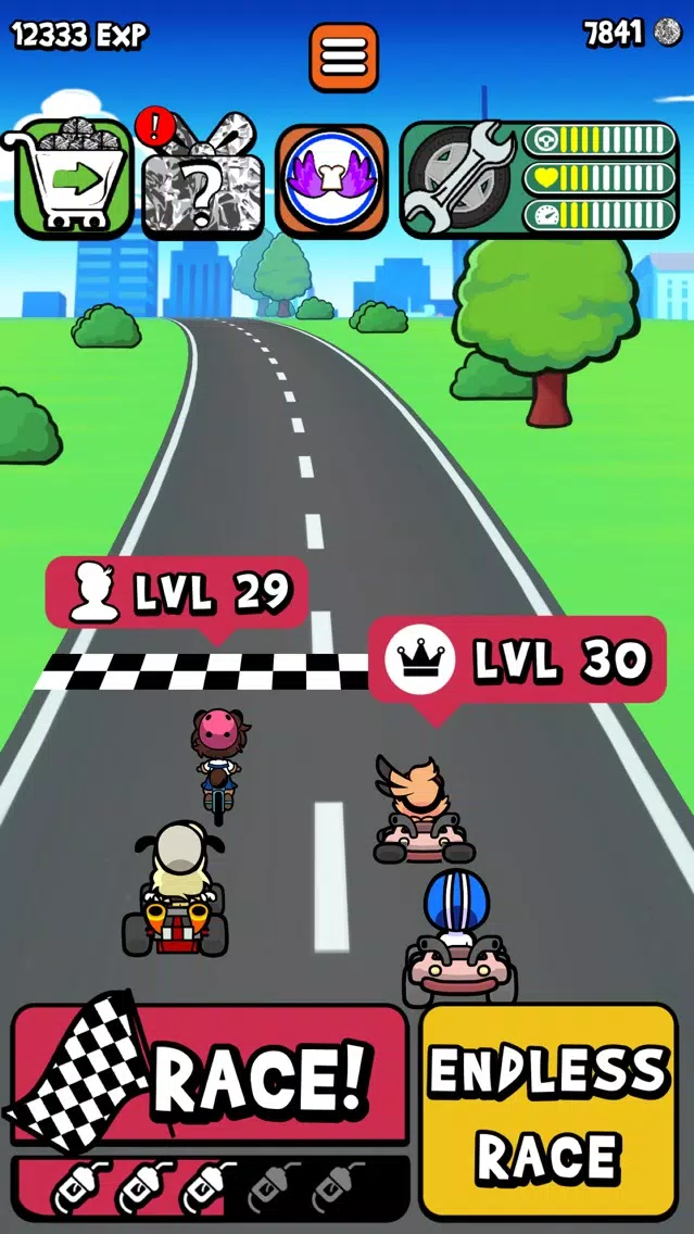 Zrzuty ekranu Dolan Kart