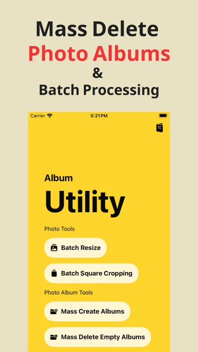 Captures d'écran de Album Utility Mass Delete Tool