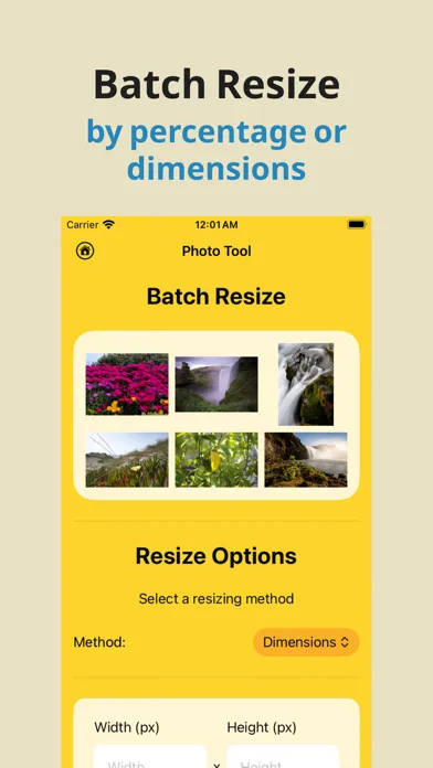 Captures d'écran de Album Utility Mass Delete Tool