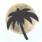 COTN Radio Creatures Of The Night Lounge APP