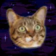 Cats In Space! Galactic Mice Cats In Space! Galactic Mice