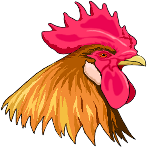 Broiler Farming Guide