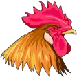 Broiler Farming Guide